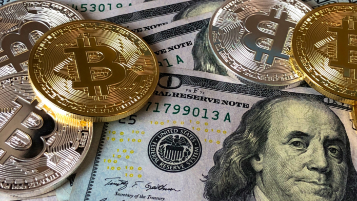 FTX Begins Repayments in 2025