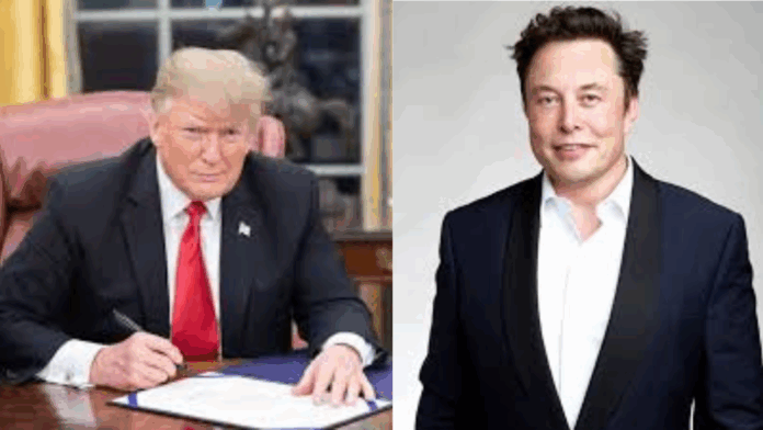 Trump / Musk
